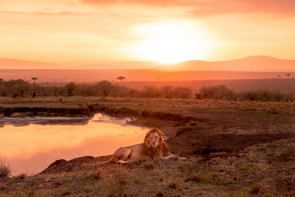 Sunrise Meditation